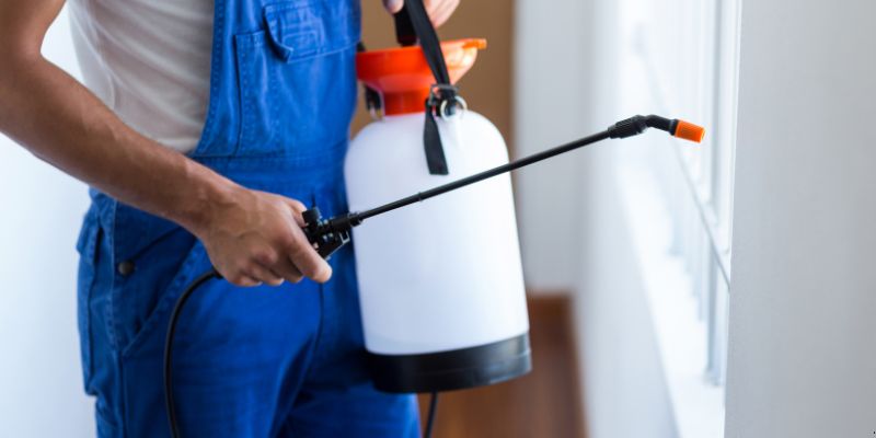 Como fazer dedetização em casa em Vitória da Conquista