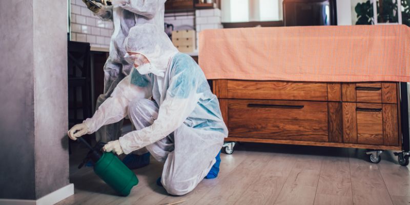 Dedetização em Apartamento Como Funciona em Vitória da Conquista: Confira 4 Passos