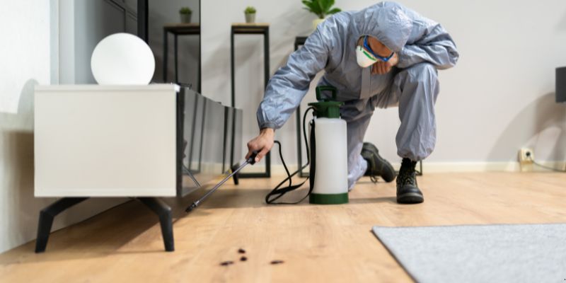 Quanto tempo dura uma dedetização em Vitória da Conquista?